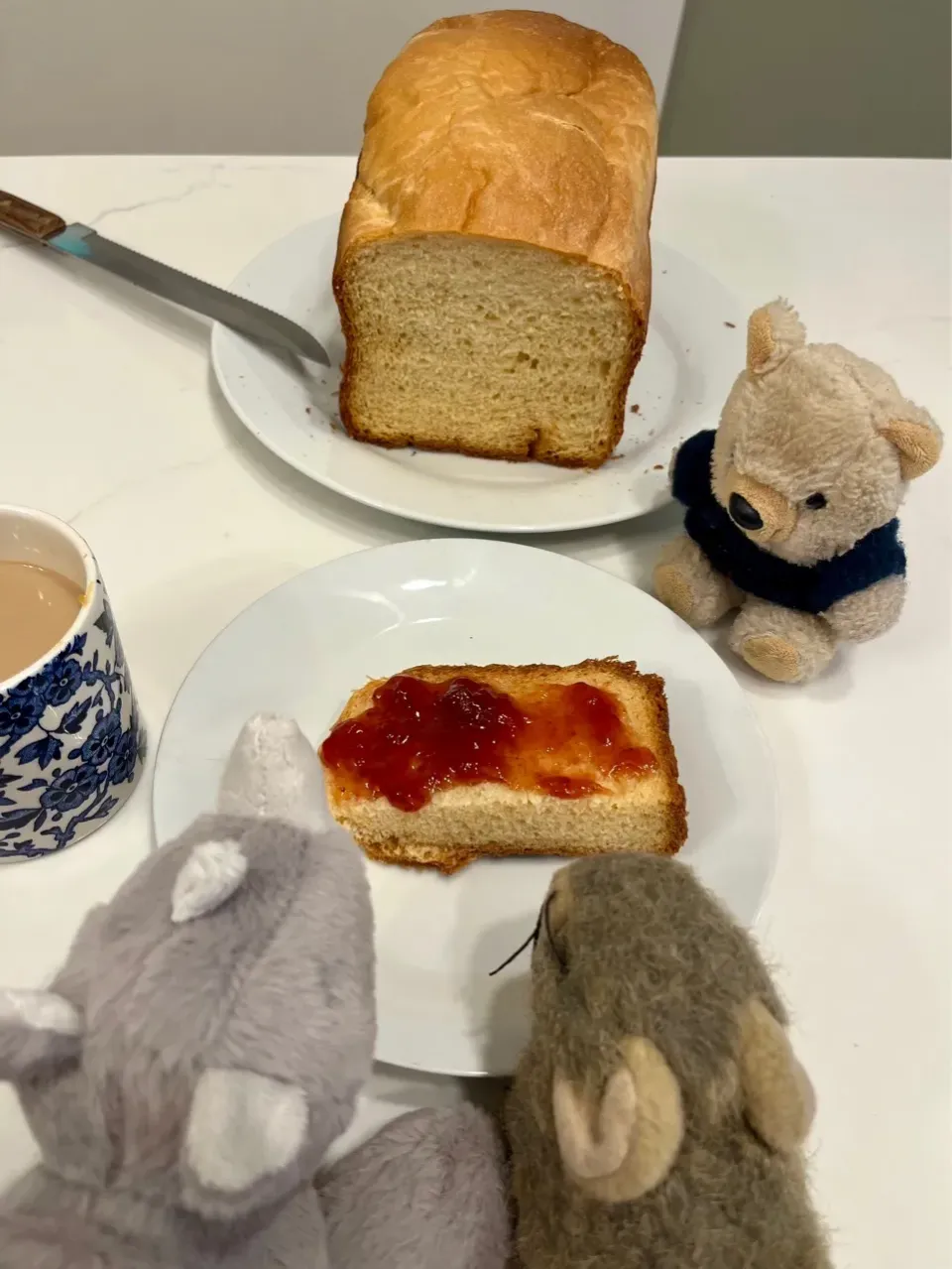 2025/12/20   初めてのブリオッシュ|21 Boys & 野鳥さん