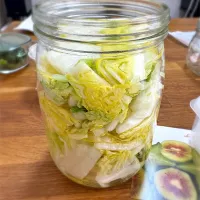 発酵白菜|morimi32さん