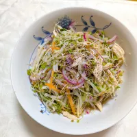 12/21の夕食　自家製サラダチキンと千切り野菜のサラダ|卯月さん