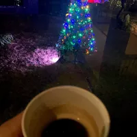 コーヒー@撞木館クリスマスライトアップ　こちらはクリスマスですね🎄