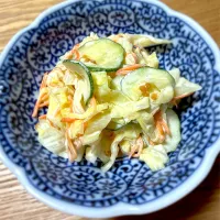 キャベツと人参のコールスロー|藤田 まり子さん