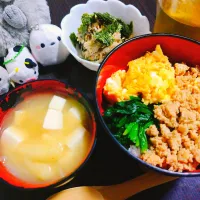 三色丼、豆腐と玉ねぎと油揚げの味噌汁、里芋とツナのサラダ|サトリさん