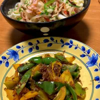 本日はこれだけ 日清出前一丁と、ちりピー|🐈⸒⸒⸒⸒つるのダンス🐈🐾さん