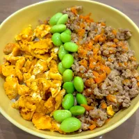 12/22そぼろ丼|chiiiiikaさん