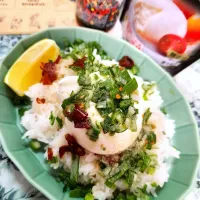 🔷ブラータ🧀ごはん🍚🔷|@きなこさん