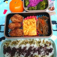 🍀2025/1223(火)唐揚げ弁当|ともちんさん