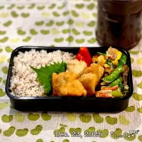 2025/12/23お弁当〜♡|いく❤️さん