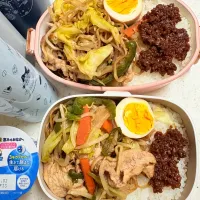 今日のお仕事弁当♪2025.12.23|ぐぅさん