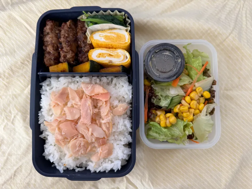 つくね&鮭フレーク弁当|ひぐっちさん