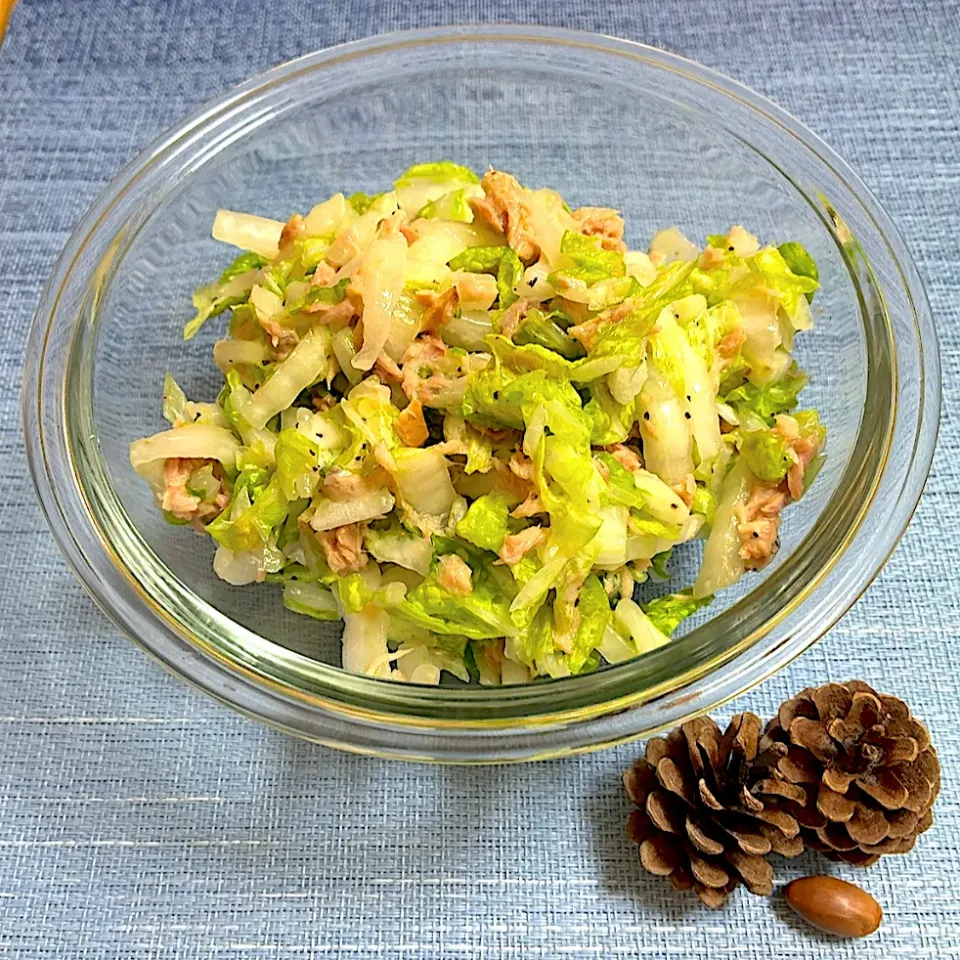 白菜のシーチキンサラダ|akkoさん