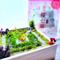 2026年は午年  春の七草 便利な物は利用　Merry Christmas|みるくここあさん