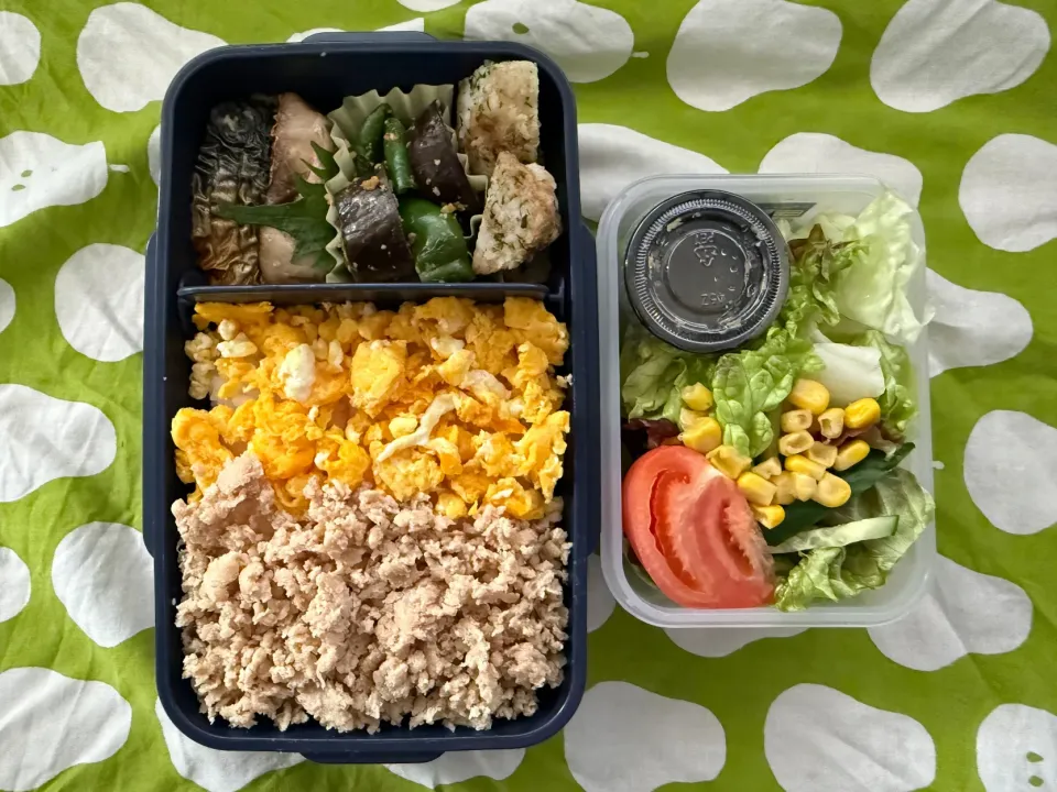 大好きな豚肉そぼろ弁当🍱今年最後のお弁当になりました♪美味しく頂きました。また来年も妻に作ってもらえるよう、感謝を伝えたいと思います。|ひぐっちさん