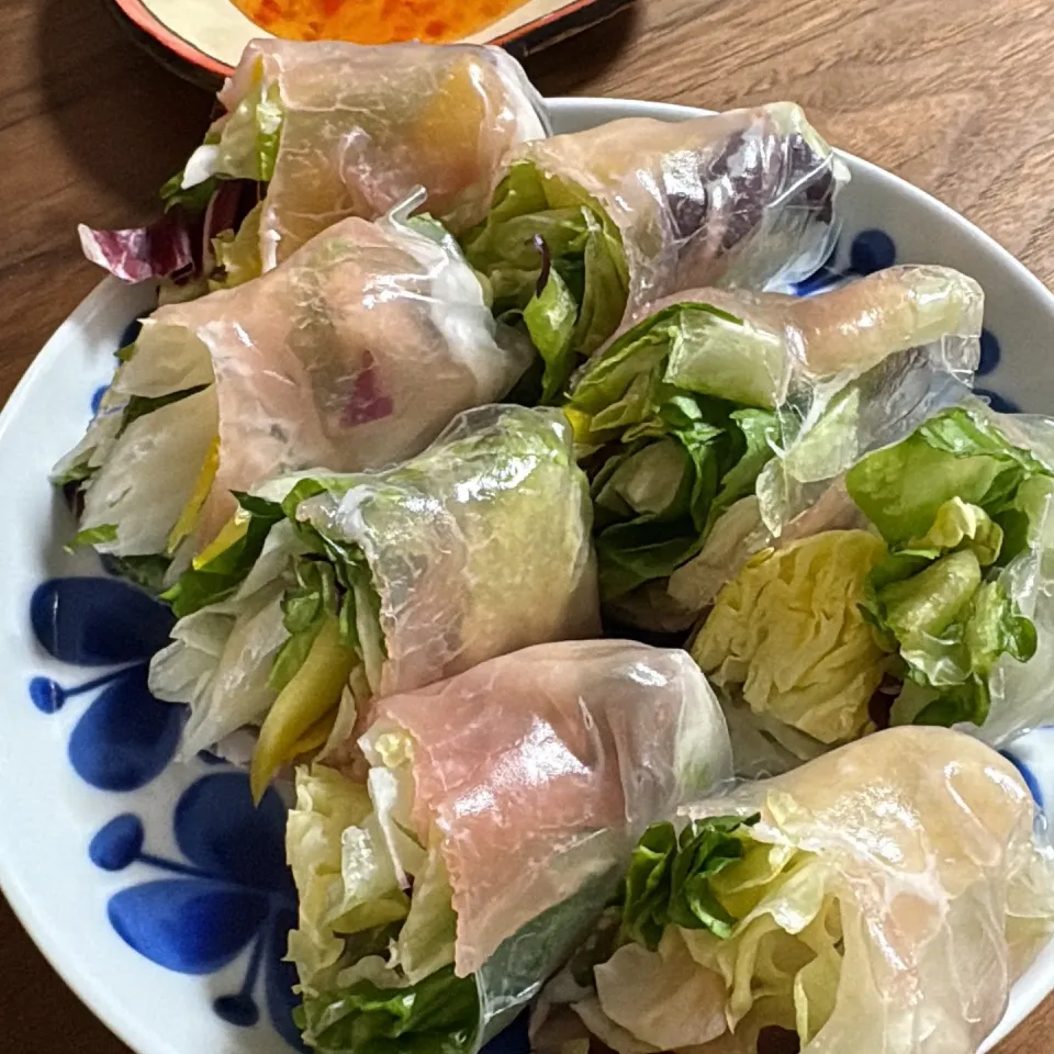 生春巻き|まきさん