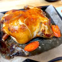 鶏さん|ちーさん