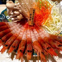 えびしゃぶ🦐|aykさん