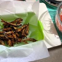 田作り|もーやんさん