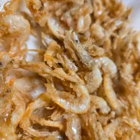 白エビ|しあるさん