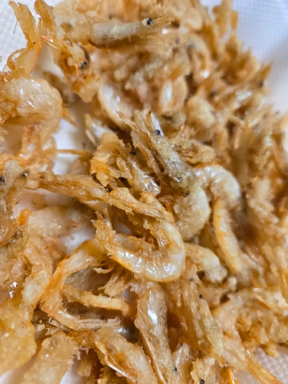 白エビ|しあるさん