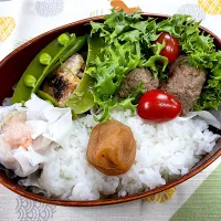 ハンバーグ、焼鳥、シウマイ🍱|なお🅿️さん