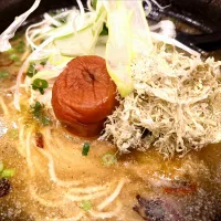 【本日の限定90食】
【2012年創業】 
麺屋Hulu-lu
あの梅塩ラ〜メン
＠池袋8分 
25351
〈醤172塩59噌󠄀27タ12昆9出17 F18冷27混5つ3焼1ポ1〉