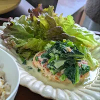 鶏の白いスパニッシュ煮込みハンバーグ|mi_neneco♪さん