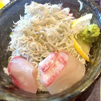 生しらす丼|saturnさん