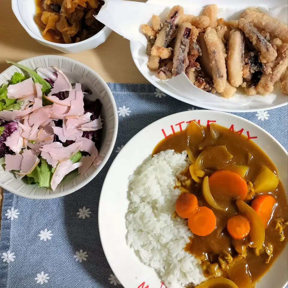 🌛*゜カレーライス / イカ竜田揚げ / サラダ|Ayakaさん