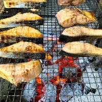 鮭| ふみぃさん