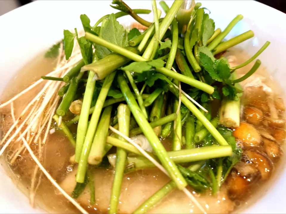 謹賀新麺

【12/31、1/1の限定】 
【食べログ TOP 5000】 
中華そば しながわ 
プレミアム稲庭中華そば 塩味
 (醤油or塩の選択、1,200円) 
＋セリ増し (200円) 
@要町4分 
(JR池袋駅から徒歩14分) 
26001
〈醤0塩1噌󠄀0タ0出0F0冷0混0つ0〉|大脇さん