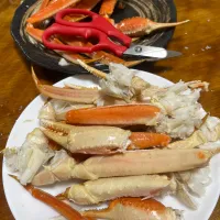 カニ！！！|さんだーさん