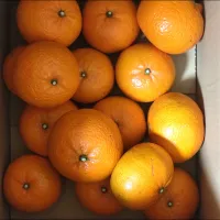 頂き物感謝🍊|m.rafuさん