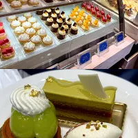 |🌼𝑨𝐦𝐢🌼さん