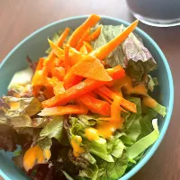 朝サラダ|にゃふてん⛩️さん