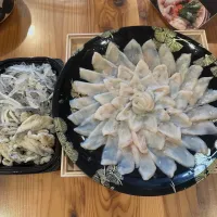 フグ刺し|愛さん