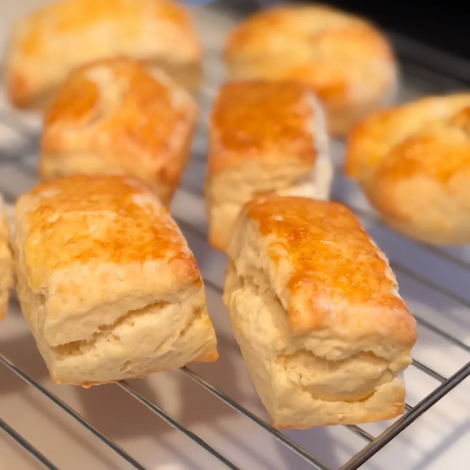 バター不使用のスコーン|みーしゃさん