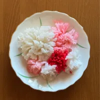 菊花かぶ|まる(丸大豆)さん