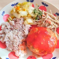 2026 0104　トマトチーズハンバーグ　ゆず白菜　ごぼうサラダ|いもこ。さん