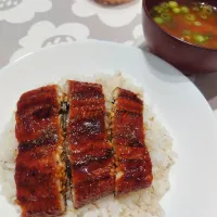 家ご飯|Y－Mさん