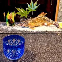 鮎の塩焼き|Ｔoyookaさん