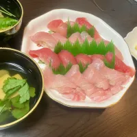 びんちようマグロの握り寿司|tatsuponさん
