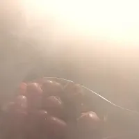 羊羹づくり（あずき）|Ｔoyookaさん