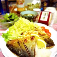 しおさばー| tonaさん