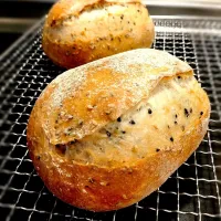 ごまカンパーニュ