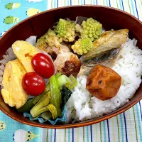 焼きサバ、つくねとブロッコリー炒め、玉子焼き🍱|なお🅿️さん