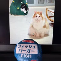 今日は粗食の日👌