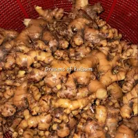 Ginger from my garden|Premaさん