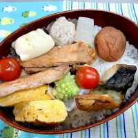 豚肉味噌焼、玉子焼、つくねと大根煮、焼きサバ🍱|なお🅿️さん