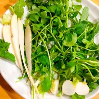 七草| みうのすけさん