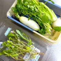 七草|藤田 まり子さん