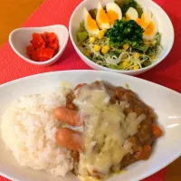 ☆カレーライス　☆サラダ　☆福神漬|chikakoさん